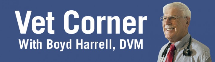 Vet Corner #1
