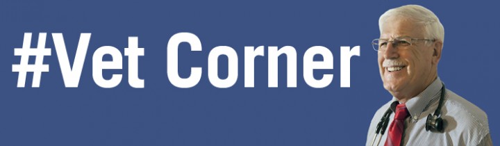 Vet Corner #7